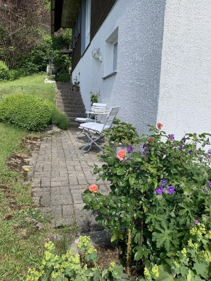 Ferienhaus Rotzinger ヒンターツァルテン エクステリア 写真